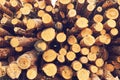 Natural wooden logs cut and stacked in pile, felled by the logging timber industry, Abstract photo of a pile of natural Royalty Free Stock Photo