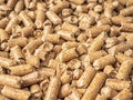 Natural wooden pellets background as renewable energy. Close-up wood pellet pattern. Royalty Free Stock Photo