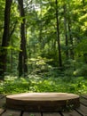 Natural wooden platform in a lush green forest setting. Royalty Free Stock Photo