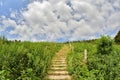 Natural wooden stairs complemented by gravel among the trees in the hot summer south Royalty Free Stock Photo