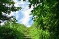 Natural wooden stairs complemented by gravel among the trees in the hot summer south Royalty Free Stock Photo