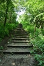 Natural wooden stairs complemented by gravel among the trees in the hot summer south Royalty Free Stock Photo