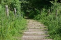 Natural wooden stairs complemented by gravel among the trees in the hot summer south Royalty Free Stock Photo