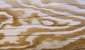 Natural wooden texture Royalty Free Stock Photo