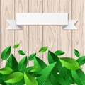 Natural wooden texture background, green leaves and white paper Royalty Free Stock Photo