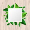 Natural wooden texture background and square green leaf frame wi Royalty Free Stock Photo