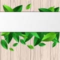 Natural wooden texture, green leaves and white background with p Royalty Free Stock Photo