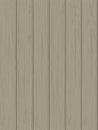 Natural wooden texture of light beige color.