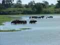 Natural woter tank Hambanthota Srilanka