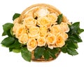 Natural yellow roses in a basket