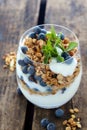 Natural yogurt with berries and muesli