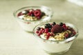 Natural yogurt with some berries Royalty Free Stock Photo