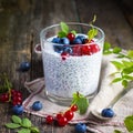 Natural yogurt with chia seeds and fresh berries