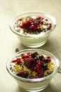 Natural yogurt with some berries Royalty Free Stock Photo