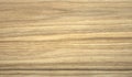 Natural zebrano oak, wood texture on a slice closeup