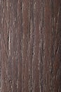 Natural Zebrano veneer Royalty Free Stock Photo