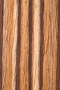 Natural Zebrano veneer Royalty Free Stock Photo