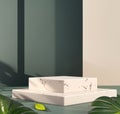Naturalism design, square shape, podium display, light and shadow, plant and gray marble theme, minimal style - 3d rendering