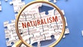 Naturalism and related ideas on a puzzle pieces. A metaphor showing complexity of Naturalism analyzed with a help of a m