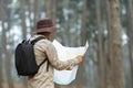 Naturalist looking at the map for direction while exploring wildlife in the pine forest for surveying and discovering the rare Royalty Free Stock Photo