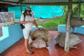 Naturalist talking about Galapagos giant tortoise shell at the s Royalty Free Stock Photo