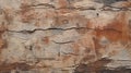 Naturalistic Depth: Painting On Cracked Wooden Surface