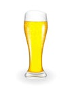 Naturalistic glass with fresh light cold beer in tall fouling. Vector Illustratiom