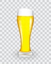 Naturalistic glass with fresh light cold beer in tall fouling. Vector Illustratiom