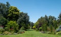 Naturalistic planting at Bressingham Gardens, Norfolk, with emphasis on layering, structure, form and wide colour palette.