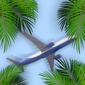 Naturalistic view of an airplane flying in the sky against the background of palm leaves.