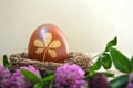 Naturally colored Easter egg and red clover flowers Royalty Free Stock Photo