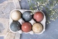 Naturally dyed easter eggs in cardboard container Royalty Free Stock Photo