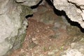 Naturally formed Tunnel near Serpent Mound Royalty Free Stock Photo