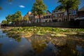 Naturally growing water plants in a Dutch city canal with flowing water and reflecting water surface. Royalty Free Stock Photo