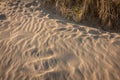 Naturally occuring patterns in sand