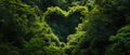 A Naturally Occurring Heart-Shaped Formation In A Lush Green Forest With Copy Space