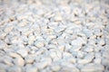 Naturally polished white rock pebbles background. white stones Royalty Free Stock Photo