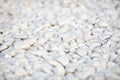 Naturally polished white rock pebbles background. white stones Royalty Free Stock Photo