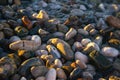 Naturally rounded gravel at sea shore