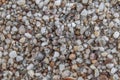 Naturally rounded gravel at sea shore, nature background texture