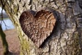 a naturally shaped heart imprinted on the bark of an old oak