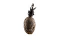 Naturally sprouted seed potato on white background