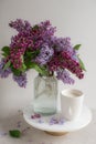 Naturals soy candle, spring flowers lilac Royalty Free Stock Photo