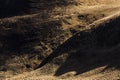 Nature abstract background in Bucegi mountains, Sinaia resort, Romania