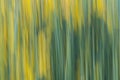 Nature abstract background