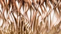 Nature Abstract: Close Look at Gills of a Parasol Mushroom Royalty Free Stock Photo