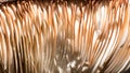 Nature Abstract: Close Look at Gills of a Parasol Mushroom Royalty Free Stock Photo