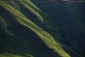 Nature Abstract: The Green Slopes of Hells Canyon in Spring