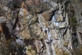 Nature Abstract: Pattern Created by Cracks and Crevices in a Solid Rock Wall Royalty Free Stock Photo
