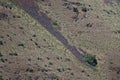 Nature Abstract: Scars of Landslides on the Slopes of Hells Canyon